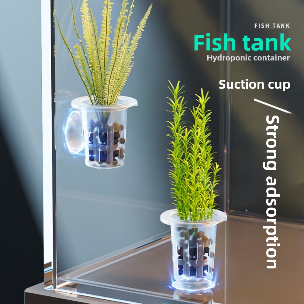 Plant Aquarium Pot - 10 Stück Transparente Hydrokultur-Pflanzentöpfe aus Kunststoff