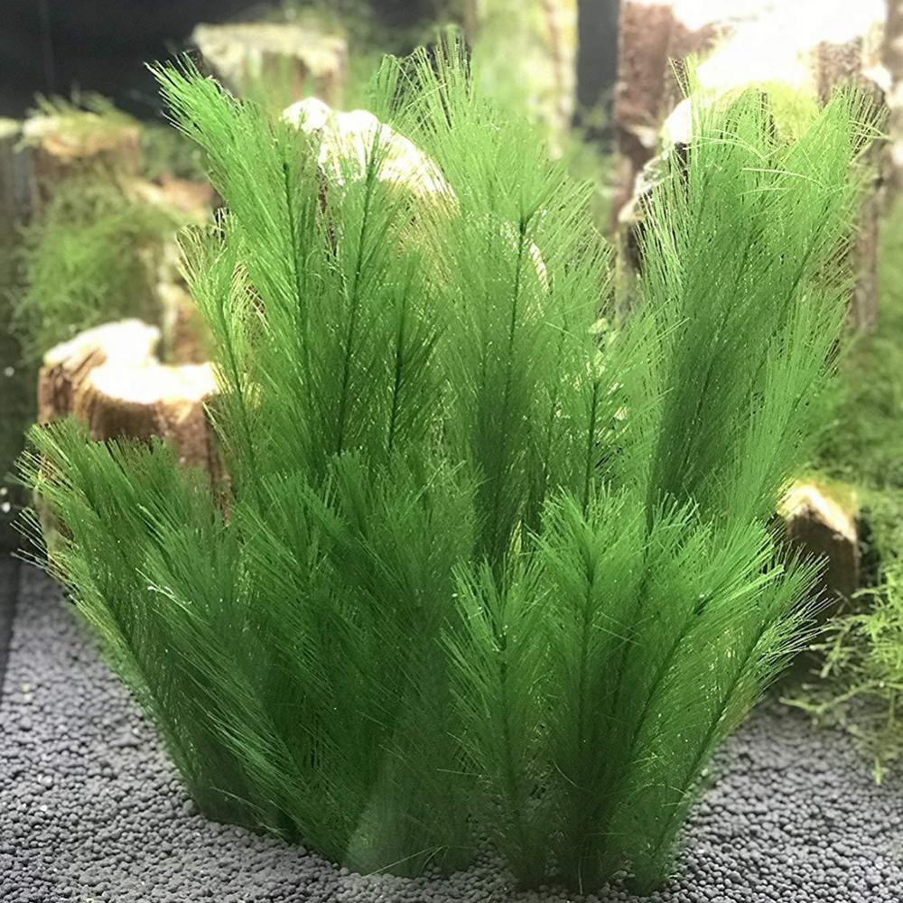 Aquarium Plants Live - 1/3Pcs 28/40cm Aquarium Aquarium Künstliche Wasser