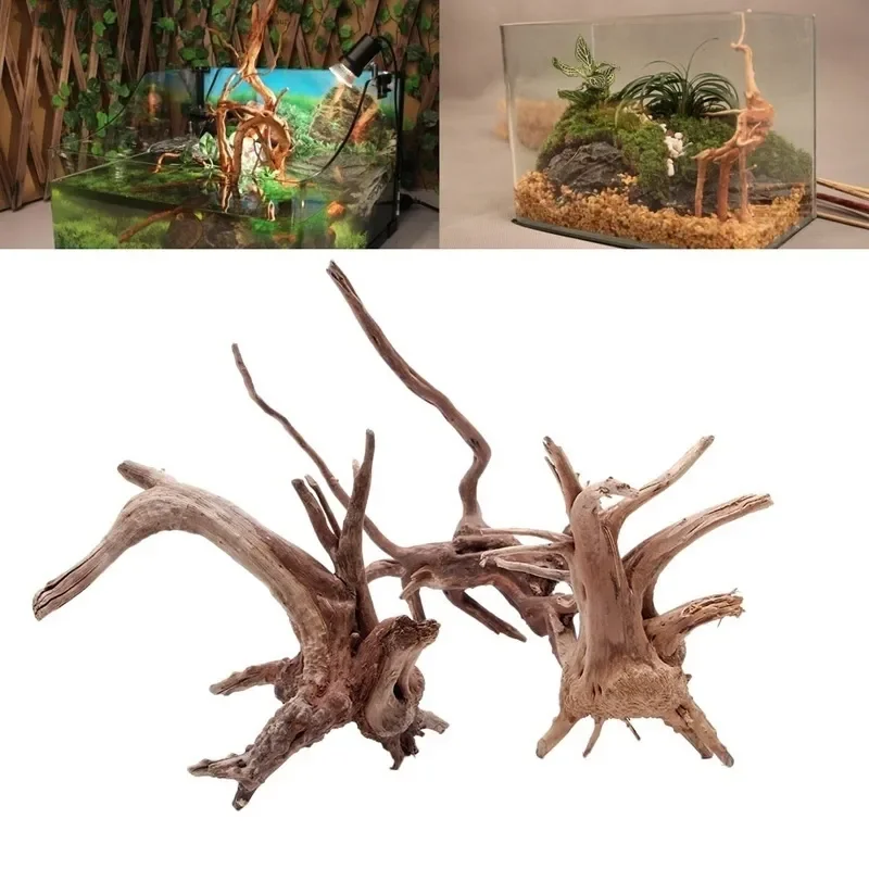 Aquarium Plants Live - Natürlicher Baumstamm Treibholz Aquarium Aquarium Reptilien