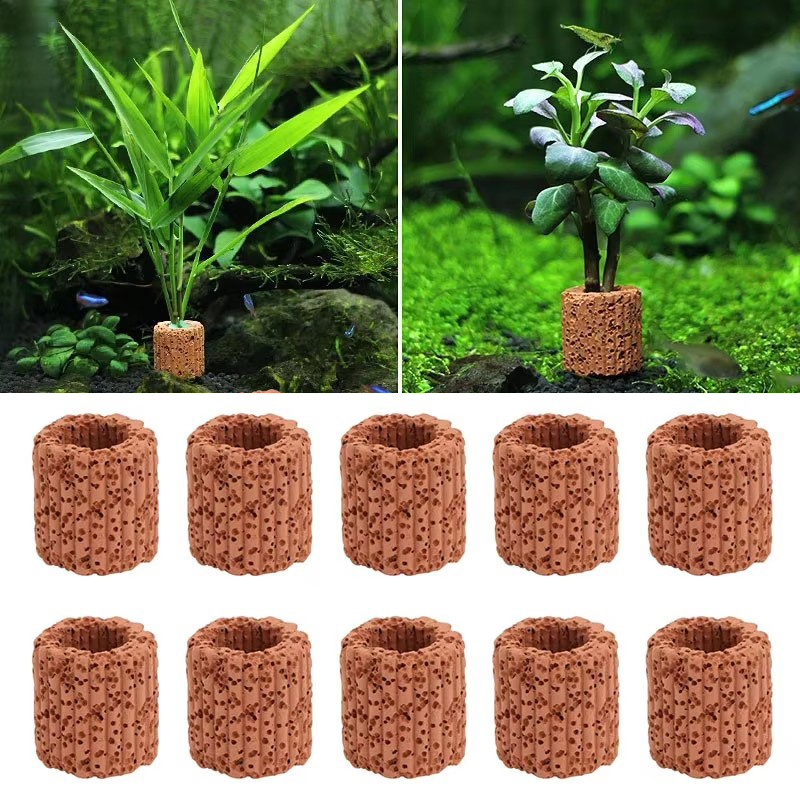 Aquarium Plants Live - Fester Ring für Wasserpflanzen für Aquarien,