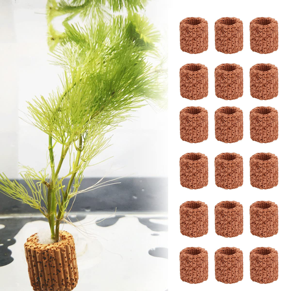 Aquarium Plants Live - 10/20pcs Wasser wasser pflanze feste Ring