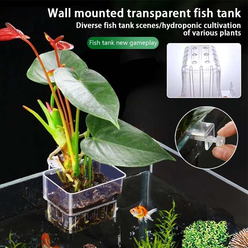 Plant Aquarium Pot - Aquarium Hängepflanzgefäße Wandmontierte Aquatische Pflanzenhalter Aquarium
