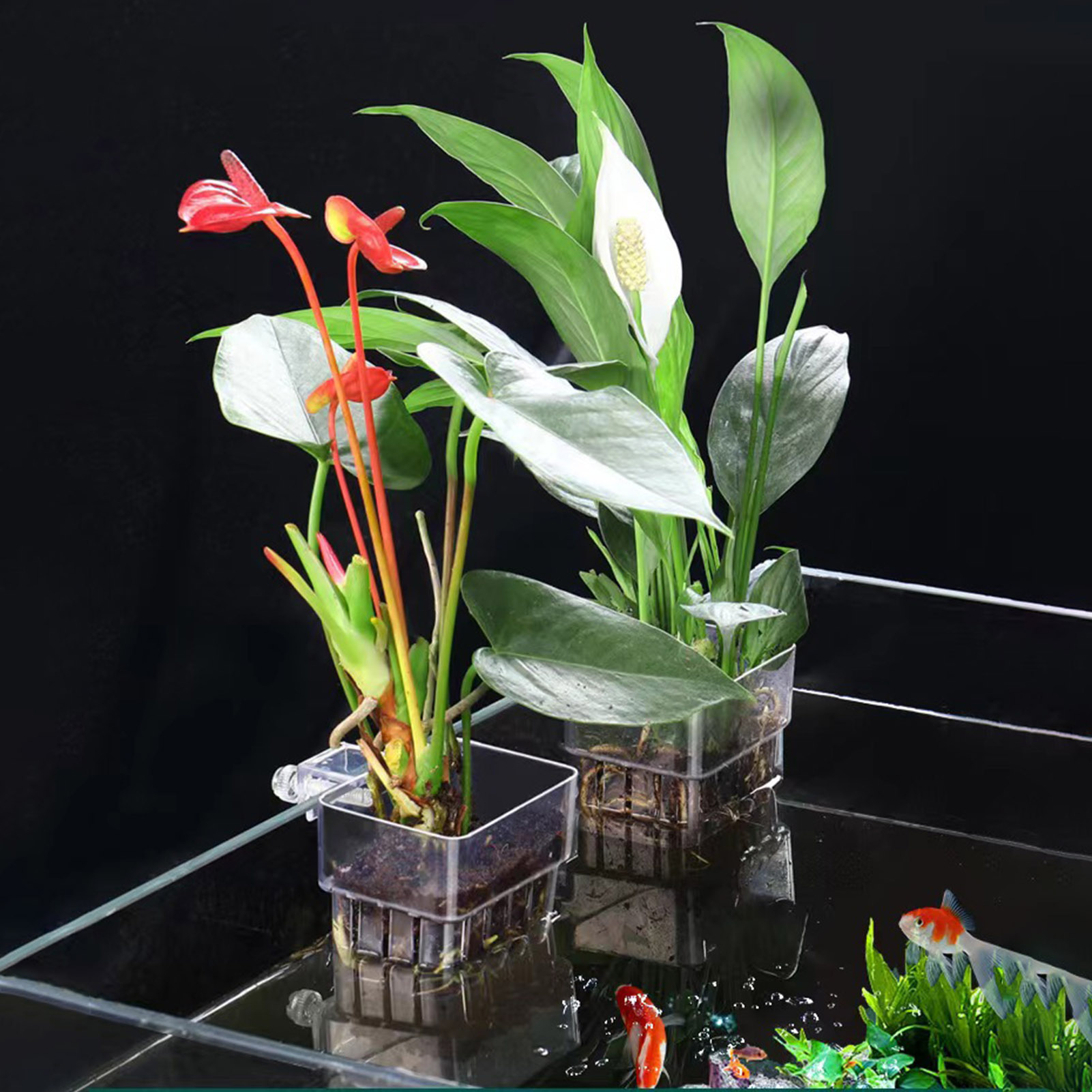 Aquarium Plant Holder - Klarer Acryl-Pflanzenhalter, Hydroponischer Pflanzkorb für Aquarium,