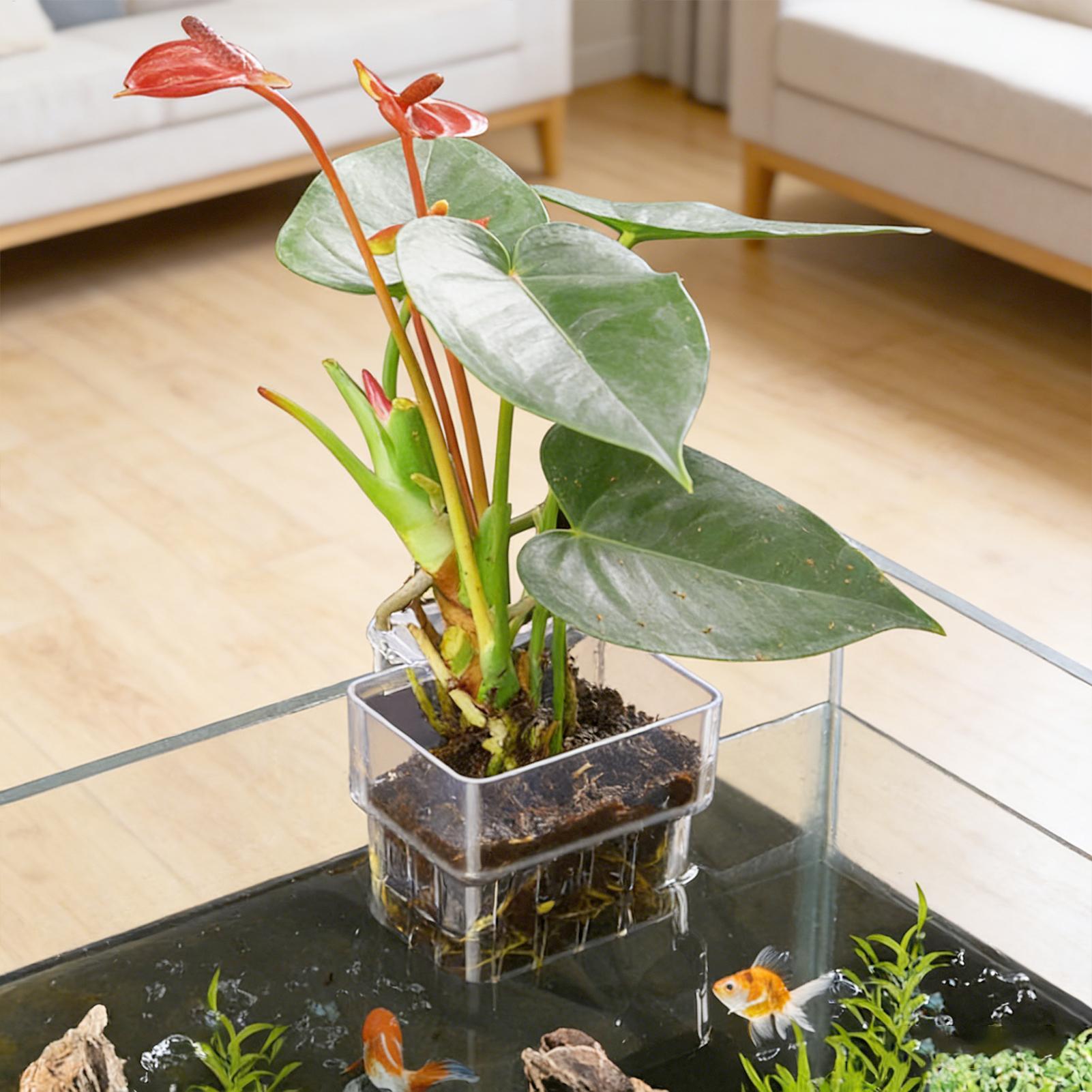 Plant Aquarium Pot - Aquarium-Pflanzenkorb Transparenter Fischbecken-Hängedekorationstopf Aquatische Pflanzenhalterung Aquatische