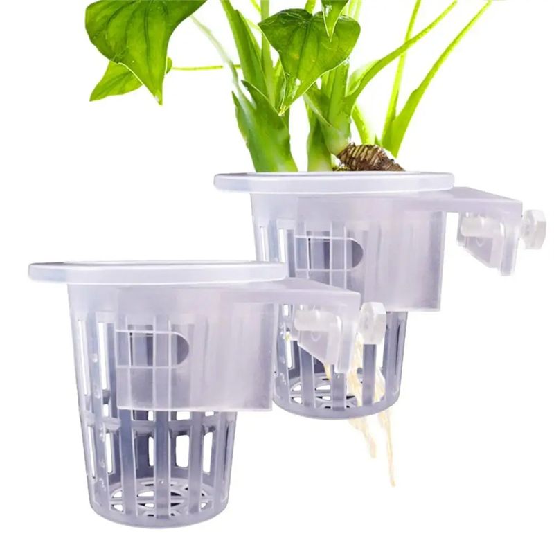Aquarium Plant Holder - A7THK-2 Stück Transparente Hängende Aquarium-Pflanzenhalter, Verstellbare