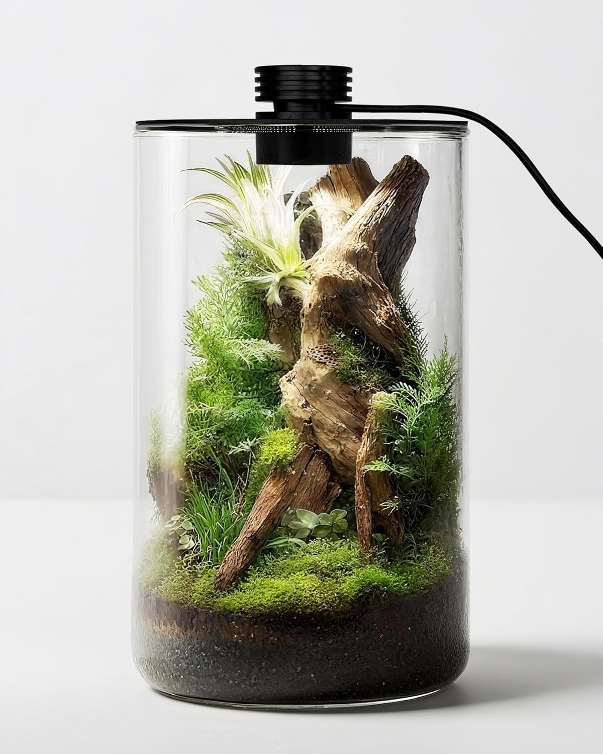 Planted Tank - Glas-Terrarium für Innenräume mit Wachstumslampe, 24,9