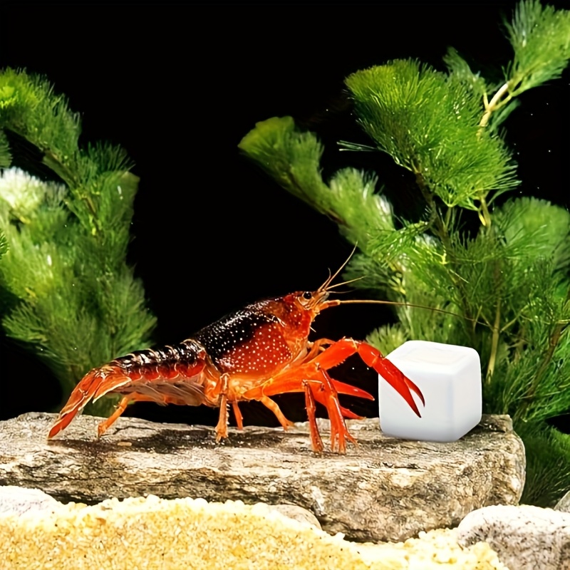 Aquarium Plants Live - 6 Stück Aquarium-Kalziumblöcke, Mineralien, Aquariumzubehör, Kletterwürfel