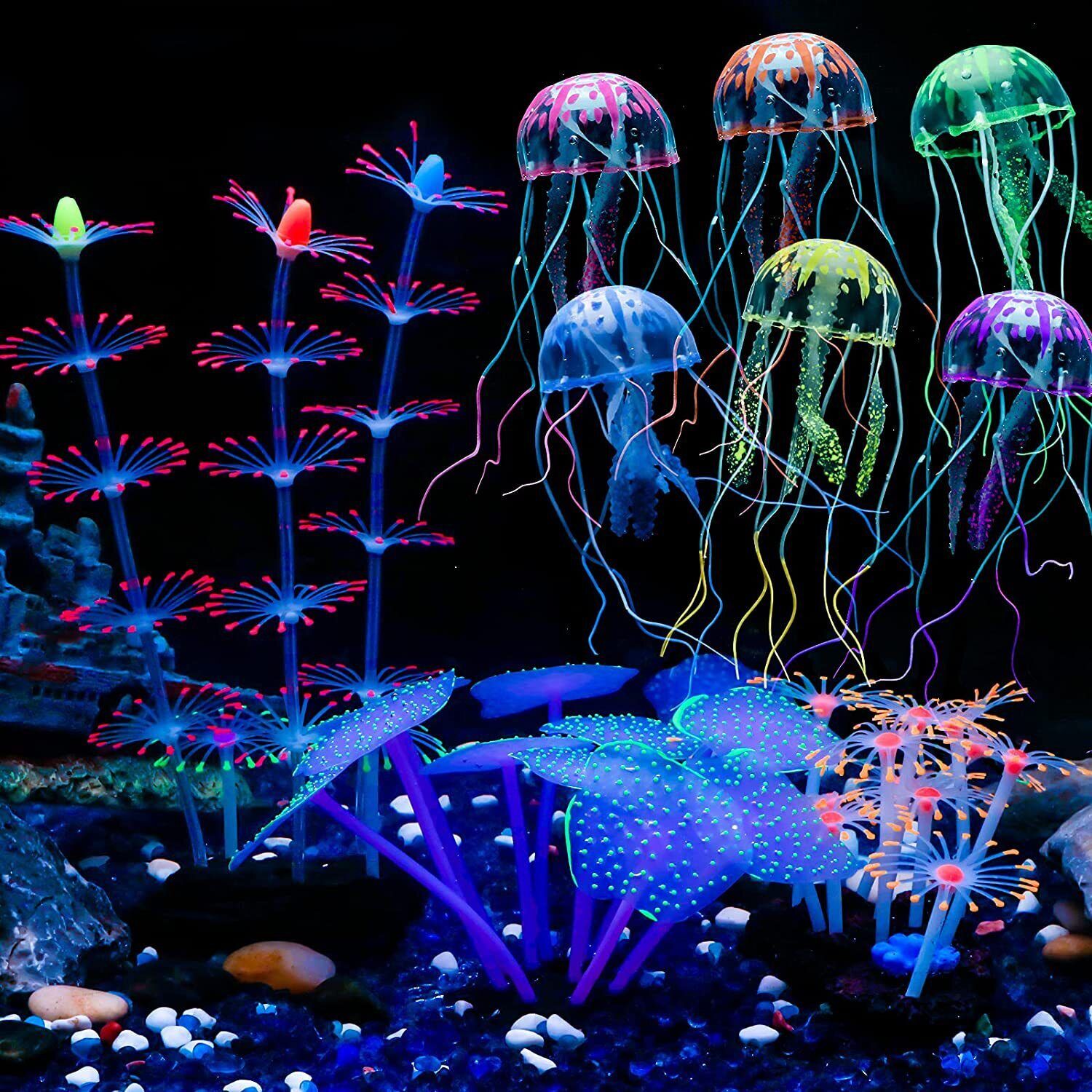 Leuchtende Silikon-Korallen un – Live Plant Aquarium Bewertung und Preis