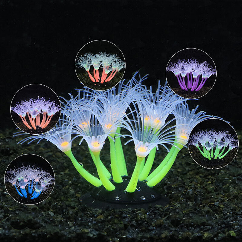 Leuchtende Silikon-Korallen un – Live Plant Aquarium Bewertung und Preis