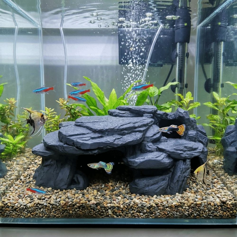 3D-gedruckte Fischbecken-Felse – Aquarium Plants Live Bewertung und Preis