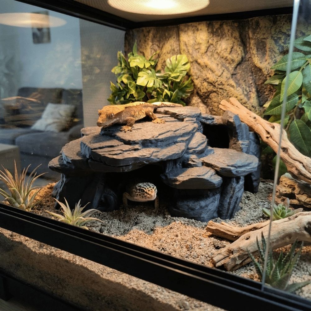 3D-gedruckte Fischbecken-Felse – Aquarium Plants Live Bewertung und Preis
