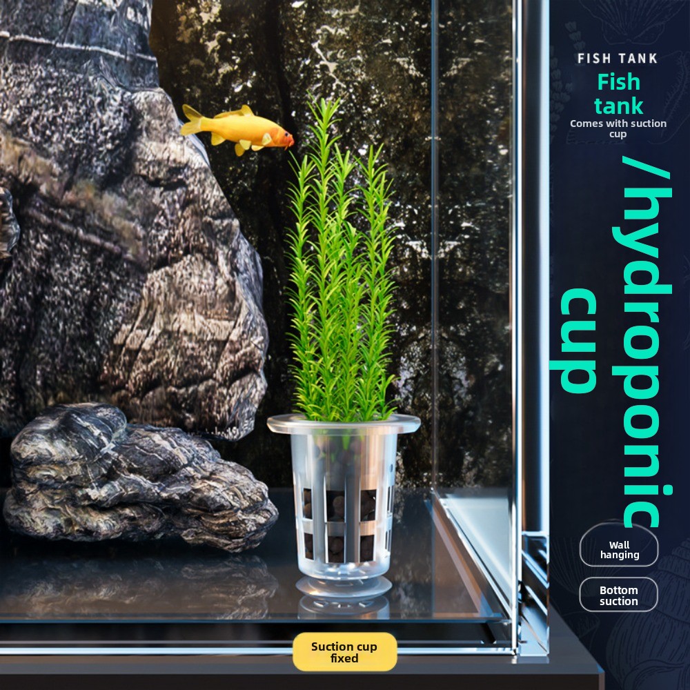 10 Stück Transparente Hydrokul – Plant Aquarium Pot Bewertung und Preis