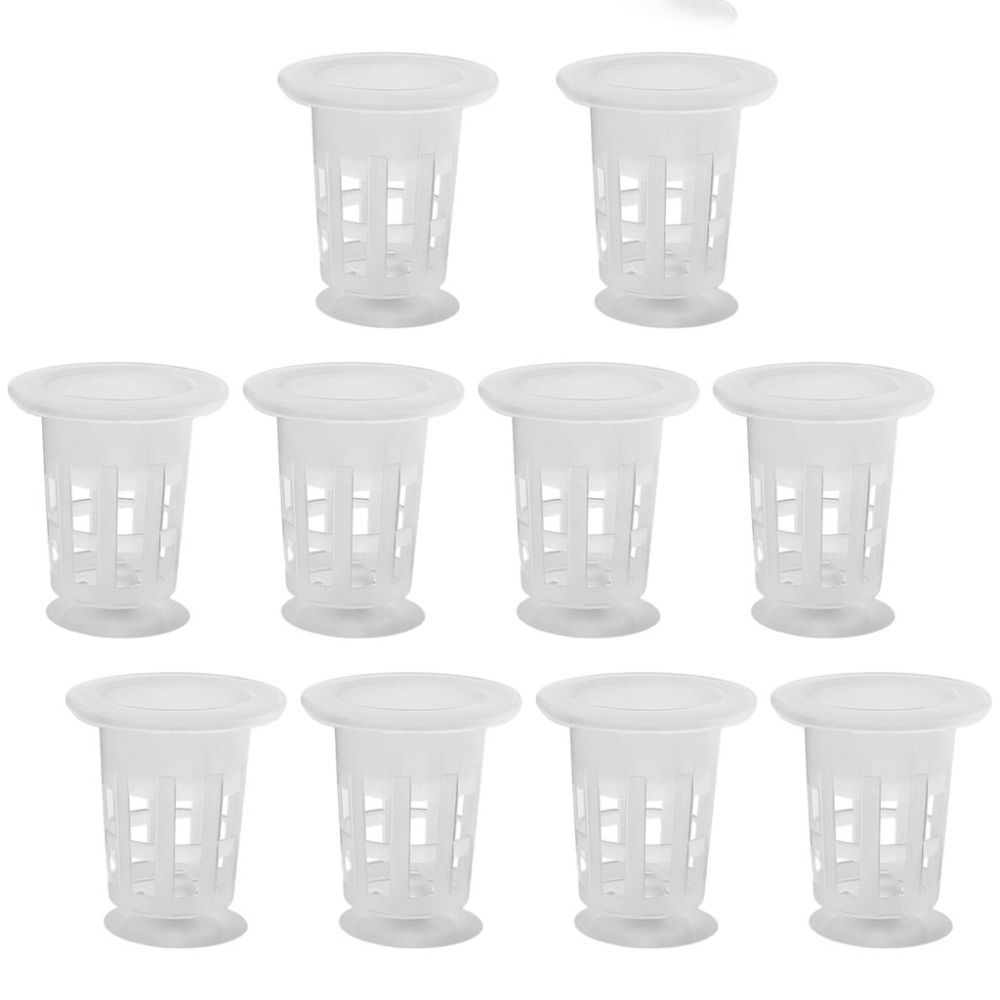 10 Stück Transparente Hydrokul – Plant Aquarium Pot Bewertung und Preis