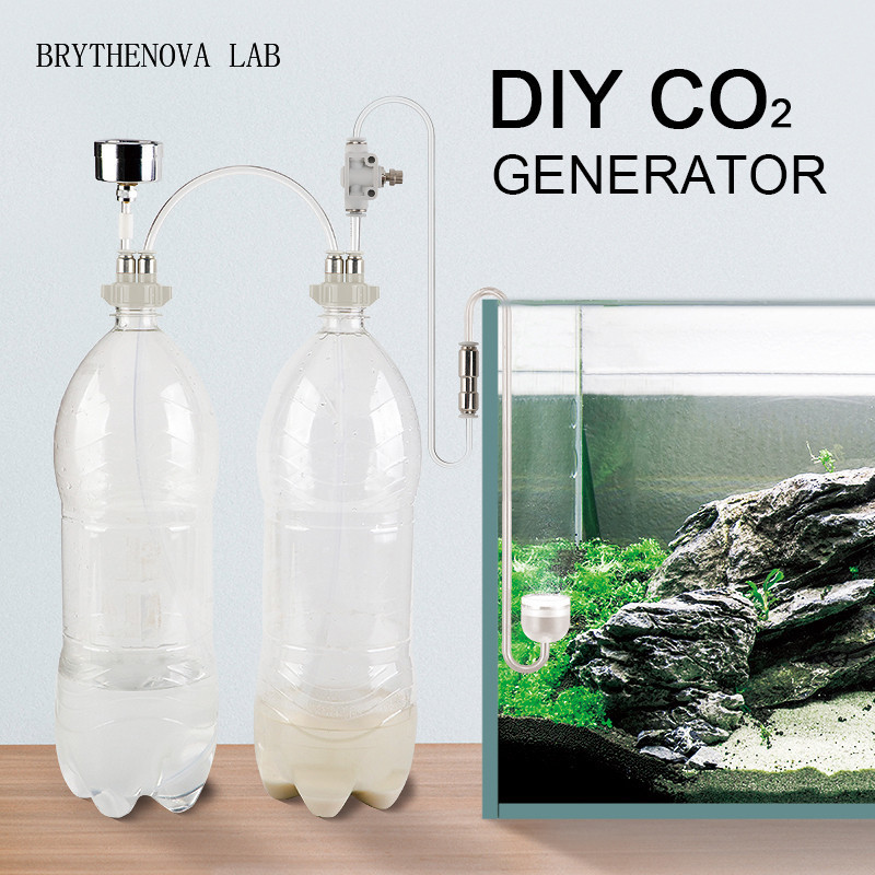 CO2-Generator für Aquarien: CO – Aquarium Moss Bewertung und Preis