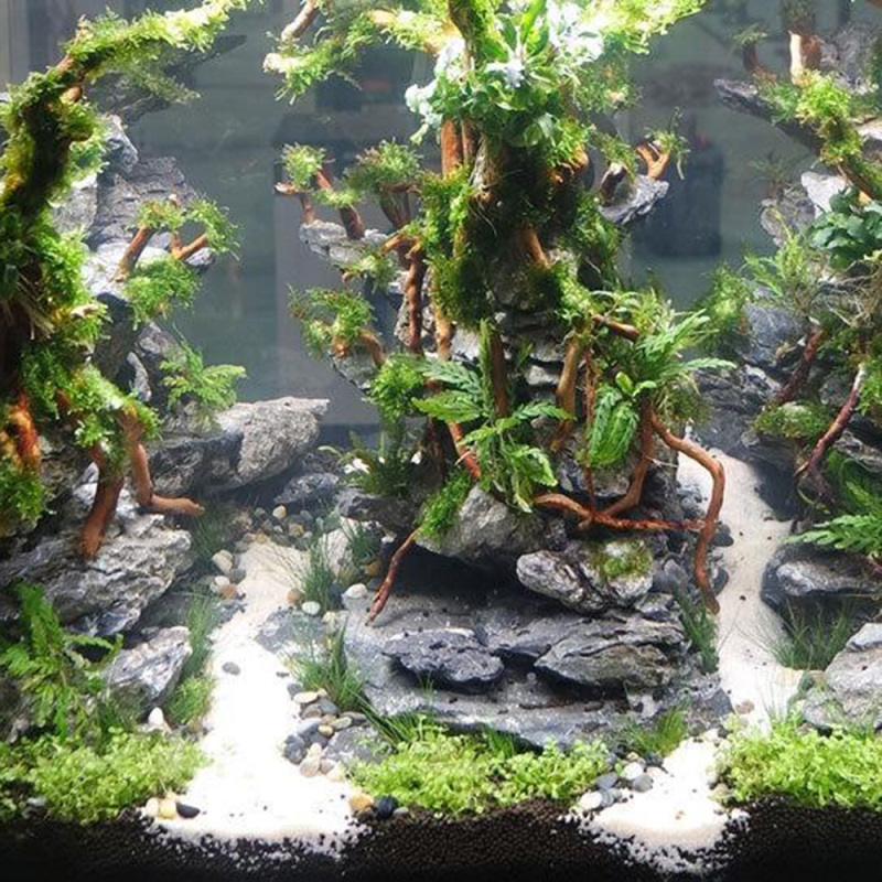 Natürlicher Treibholz-Wurzelst – Aquarium Driftwood Bewertung und Preis