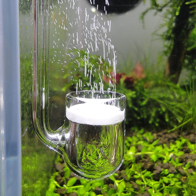 D0AD Glas-CO2-Diffusor für Aqu – Aquarium Liquid Carbon Bewertung und Preis