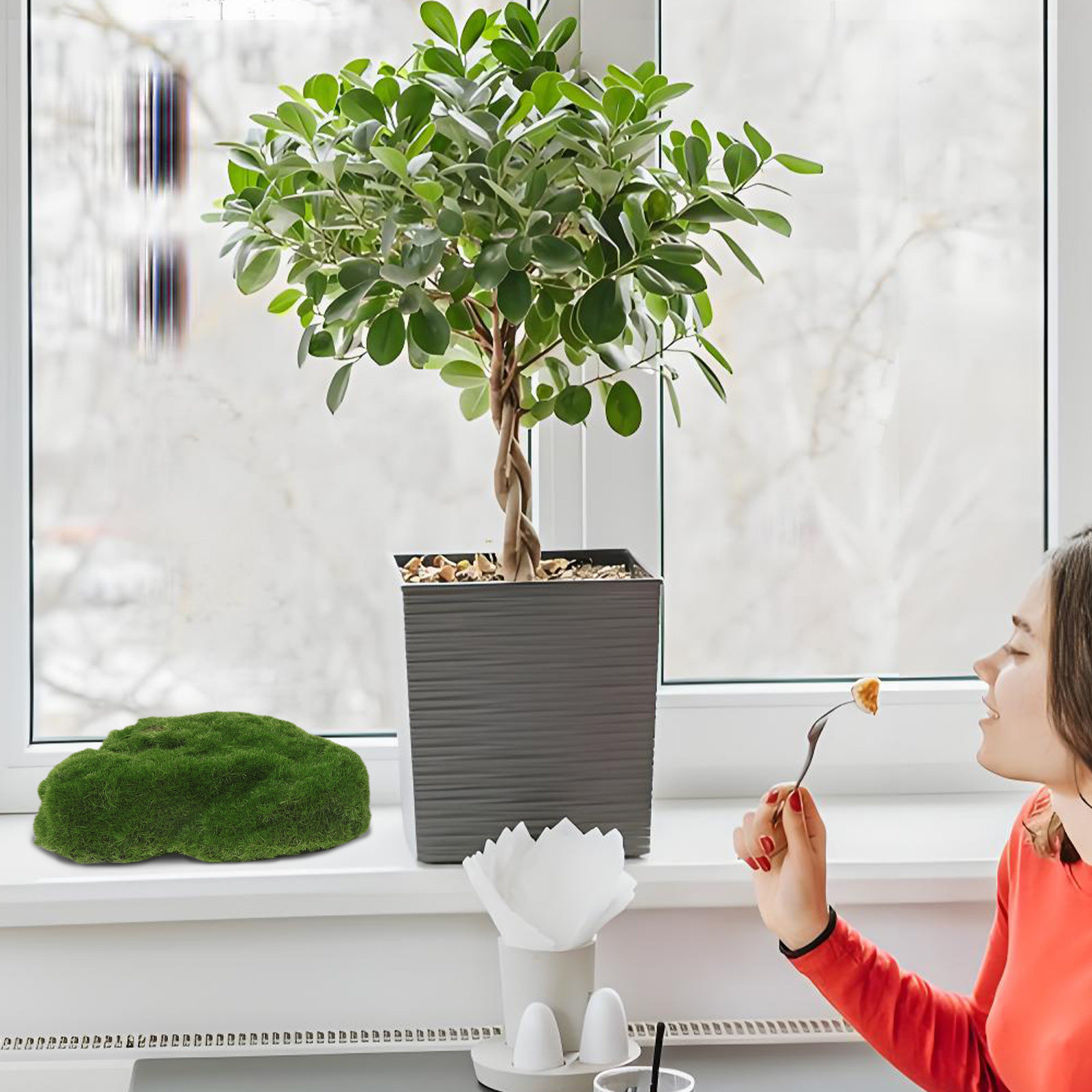4 Stück dekorative Kunstmosses – Aquarium Moss Bewertung und Preis
