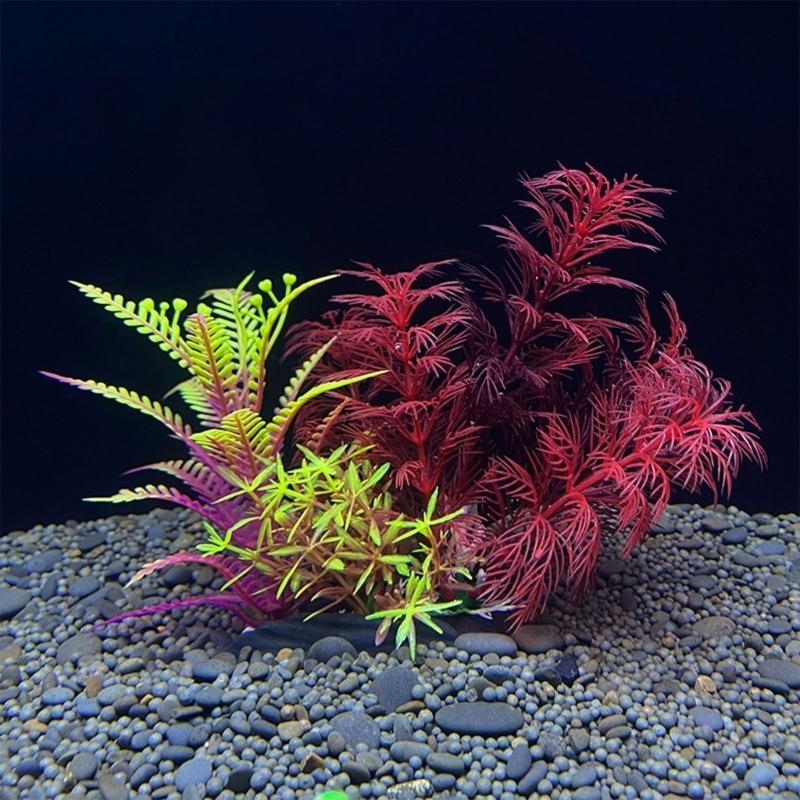 Künstliche Aquarium-Dekoration – Live Plant Aquarium Bewertung und Preis