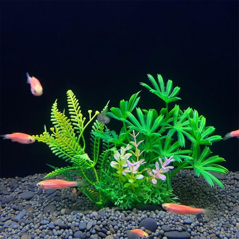 Künstliche Aquarium-Dekoration – Live Plant Aquarium Bewertung und Preis