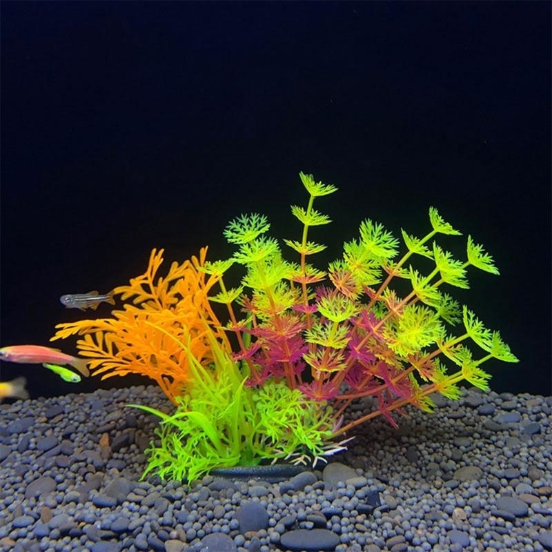 Künstliche Aquarium-Dekoration – Live Plant Aquarium Bewertung und Preis
