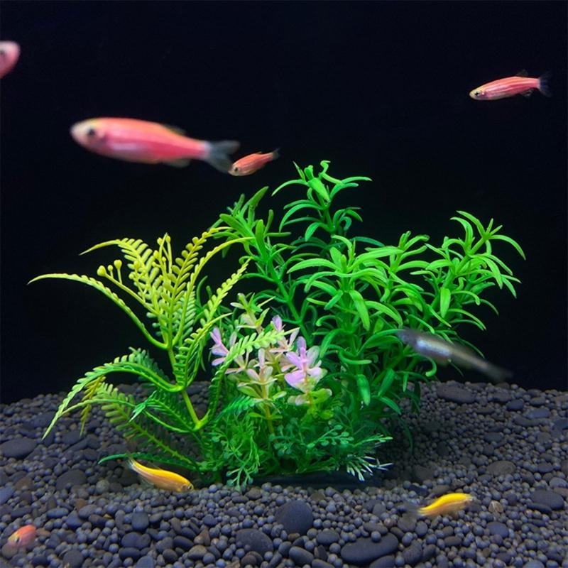 Künstliche Aquarium-Dekoration – Live Plant Aquarium Bewertung und Preis