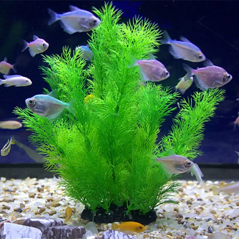 Künstliche Aquarium Dekor Pfla – Aquarium Plants Live Bewertung und Preis
