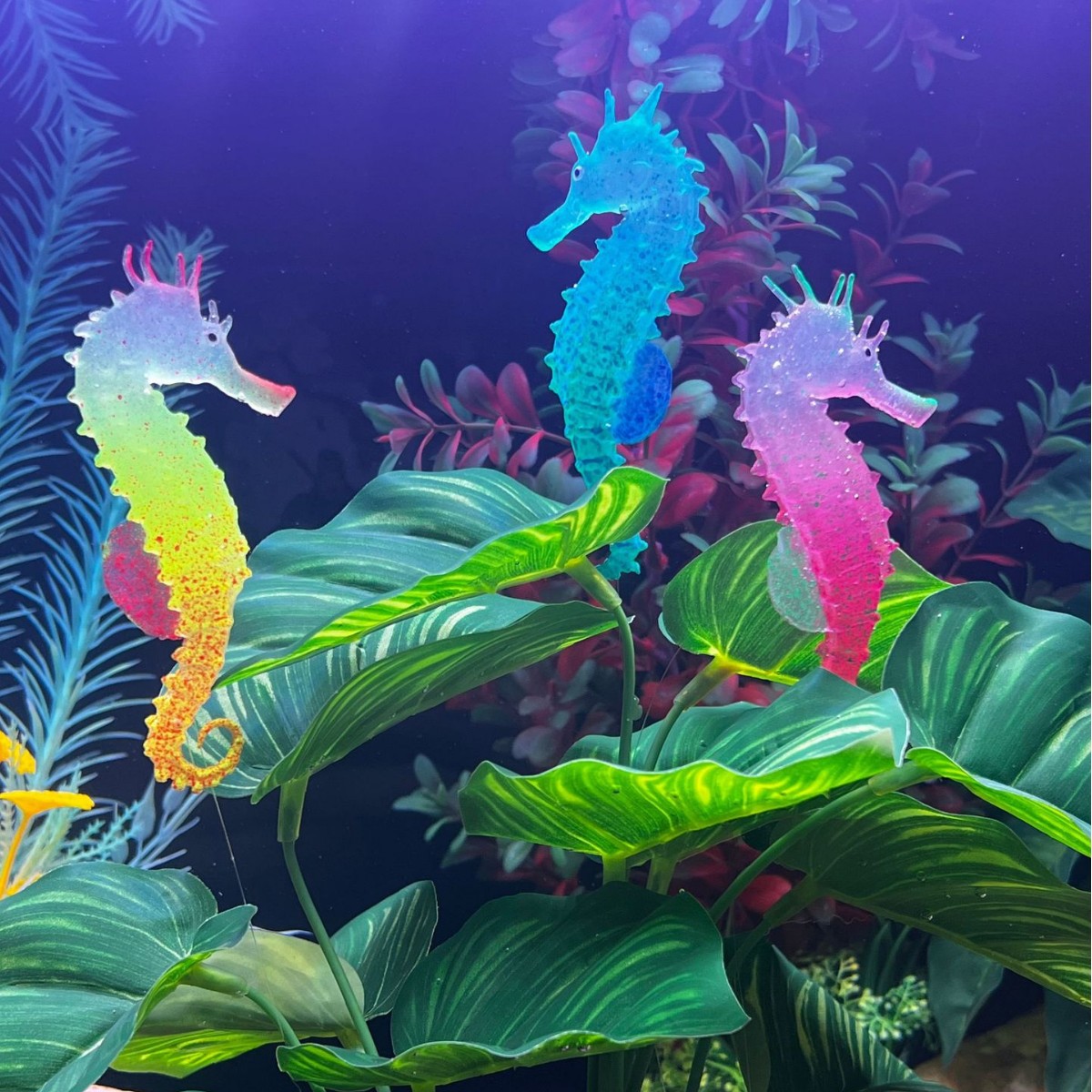 Simulierte Leuchtende Seepferd – Aquarium Plant Substrate Bewertung und Preis