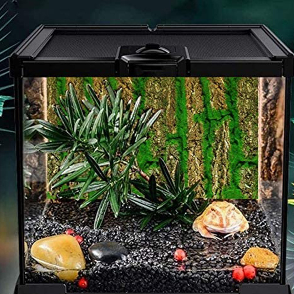 3D Aquarium Hintergrundplatte  – Aquarium Moss Bewertung und Preis