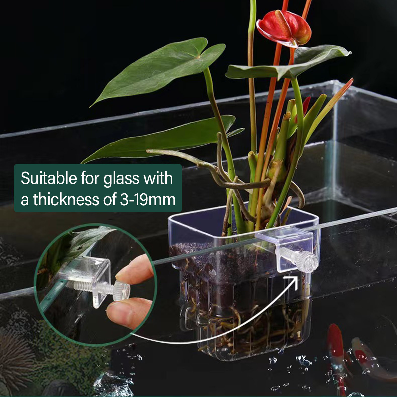 Klarer Acryl-Pflanzenhalter, H – Aquarium Plant Holder Bewertung und Preis
