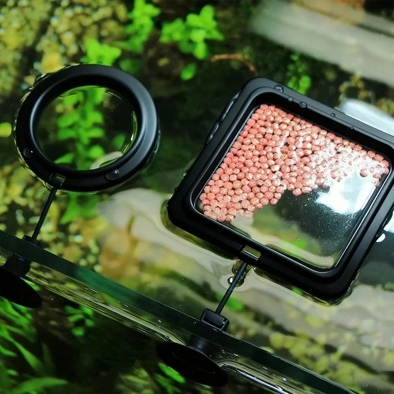 1/3 Stück Aquarium Fischfütter – Aquarium Fertilizer Bewertung und Preis