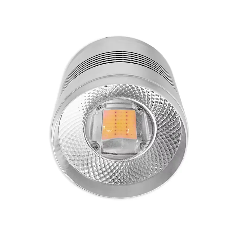 Novatech Global 70W LED-Aquari – Planted Aquarium Algae Control Bewertung und Preis