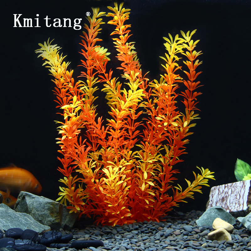 100cm Tropische Pflanzen, Groß – Aquarium Plant Substrate Bewertung und Preis