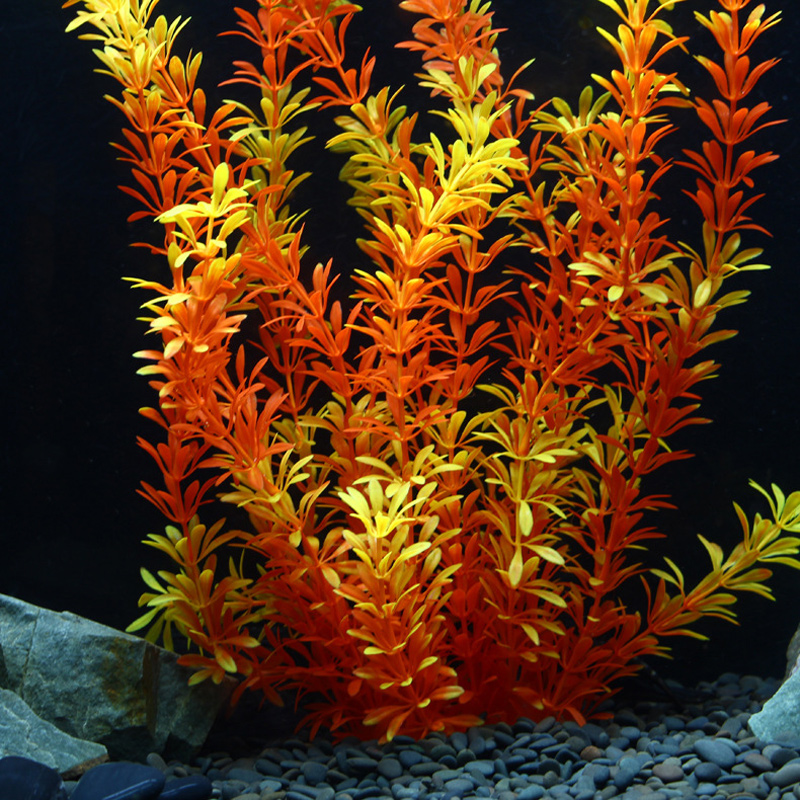 100cm Tropische Pflanzen, Groß – Aquarium Plant Substrate Bewertung und Preis