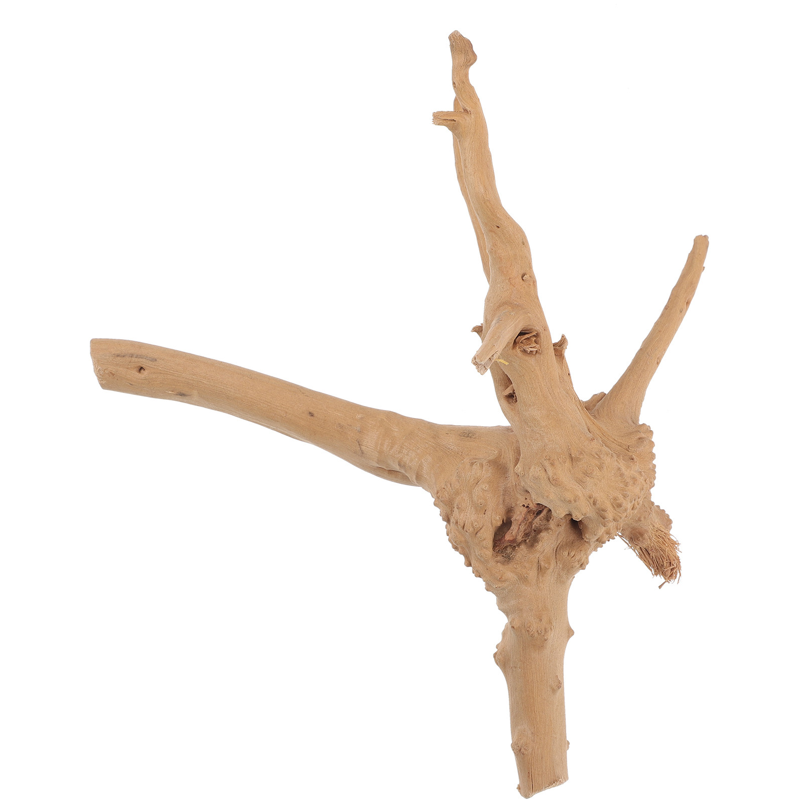 Natürliches Rhododendron-Treib – Aquarium Driftwood Bewertung und Preis