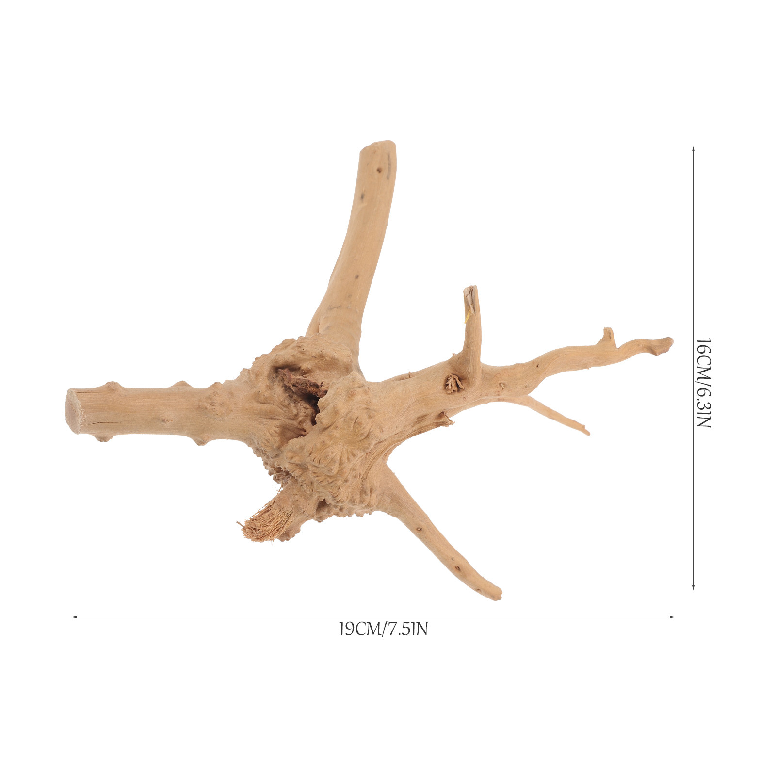 Natürliches Rhododendron-Treib – Aquarium Driftwood Bewertung und Preis