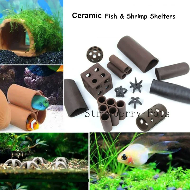 Keramik Aquarium Dekoration Fi – Aquarium Plants Live Bewertung und Preis