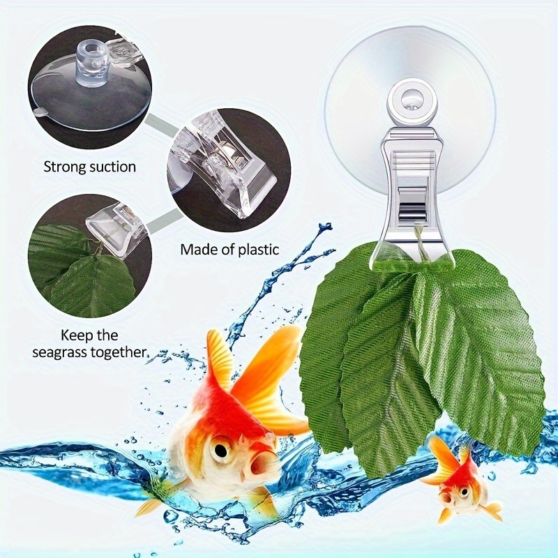 8 Stück Fisch-Algen-Clip Pflan – Aquarium Plant Holder Bewertung und Preis