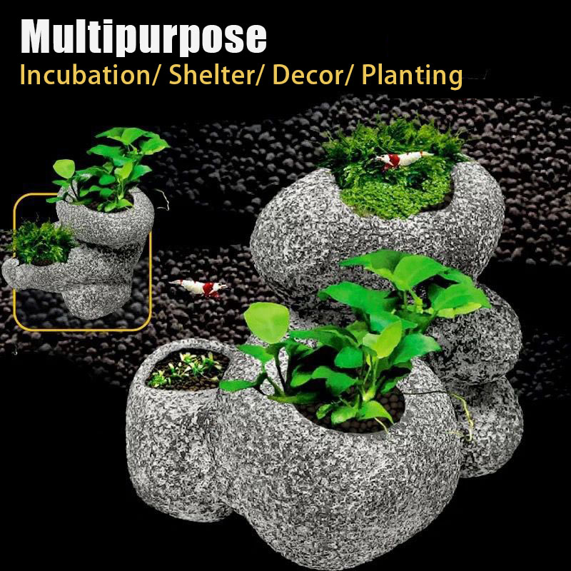 Fisch Garnelen Inkubation Shel – Plant Aquarium Pot Bewertung und Preis