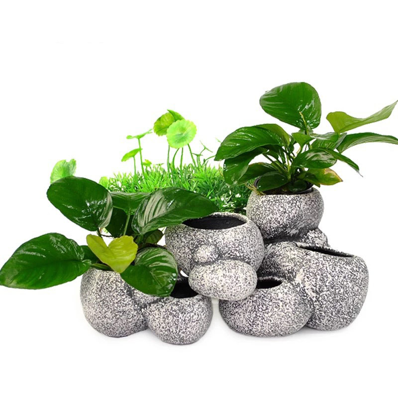 Fisch Garnelen Inkubation Shel – Plant Aquarium Pot Bewertung und Preis