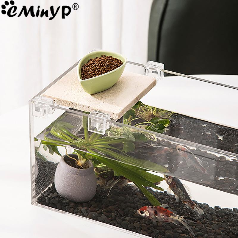 4Pcs Aquarium Acryl Clips für  – Aquarium Plant Holder Bewertung und Preis