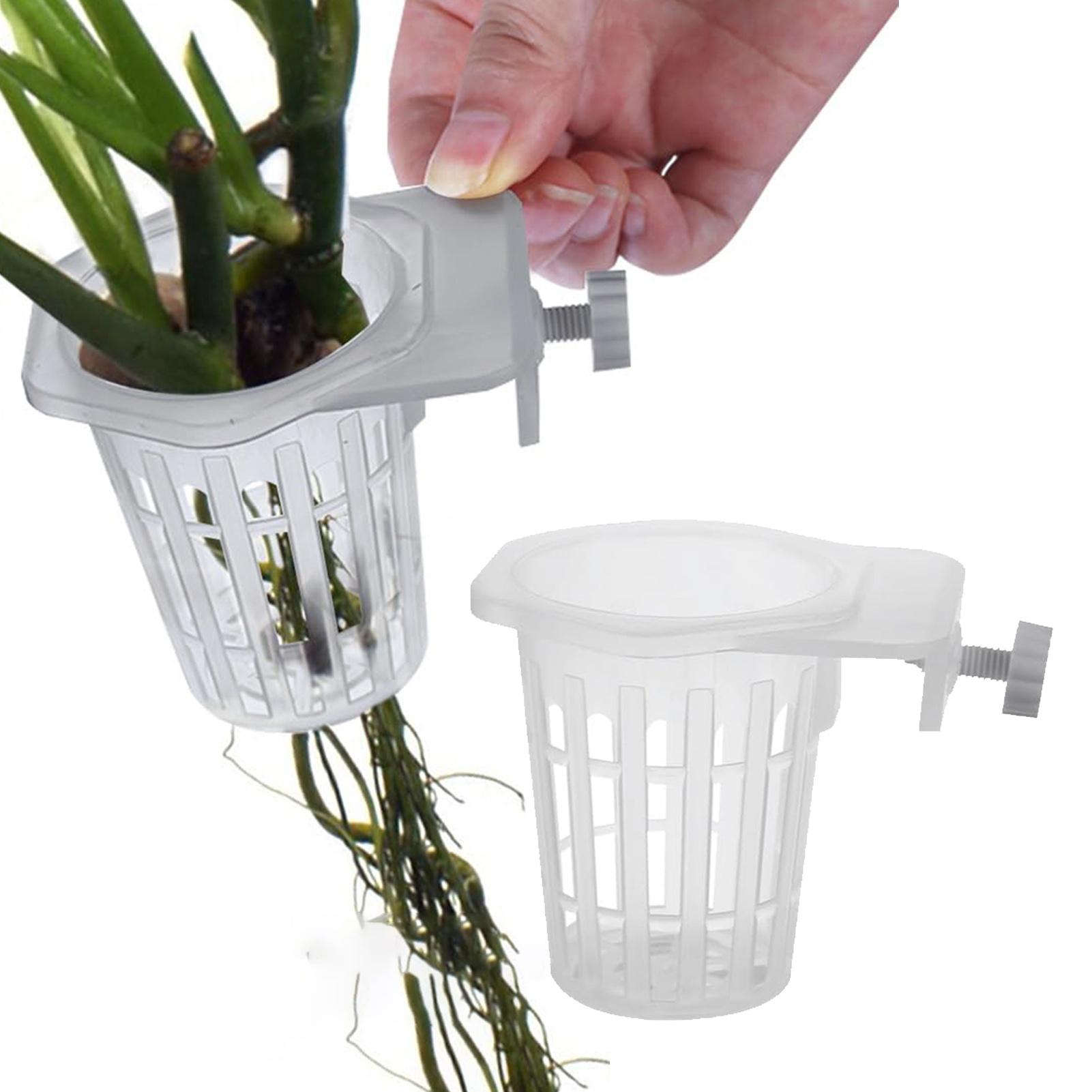 2 Stück hängbare Aquarienpflan – Aquarium Plant Holder Bewertung und Preis