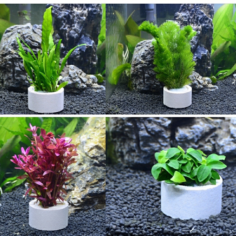 Aquarium Dekoration Keramik Ri – Plant Aquarium Pot Bewertung und Preis