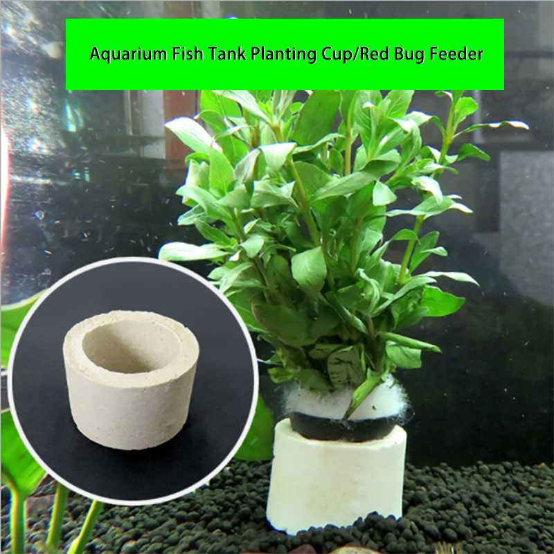 Aquarium Dekoration Keramik Ri – Plant Aquarium Pot Bewertung und Preis