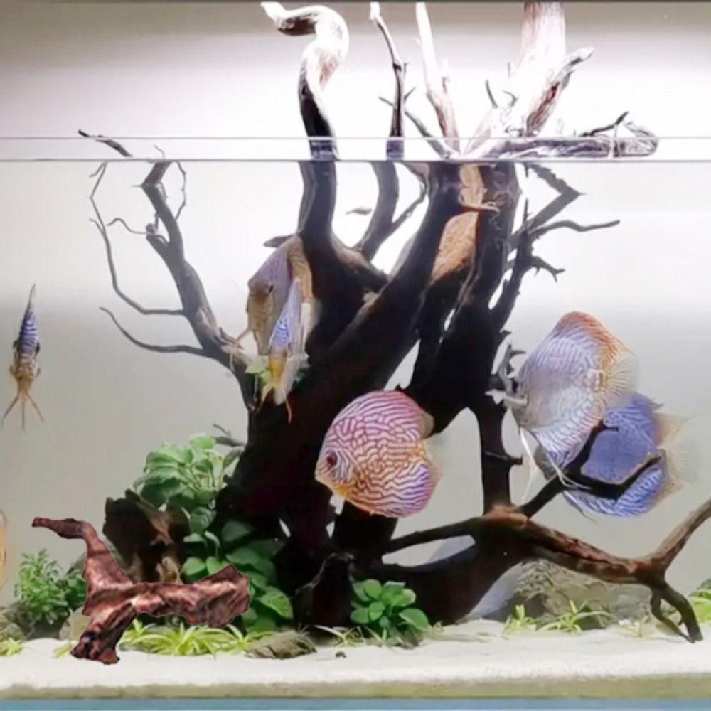 Kreative Unregelmäßige Form Ko – Aquarium Plant Substrate Bewertung und Preis
