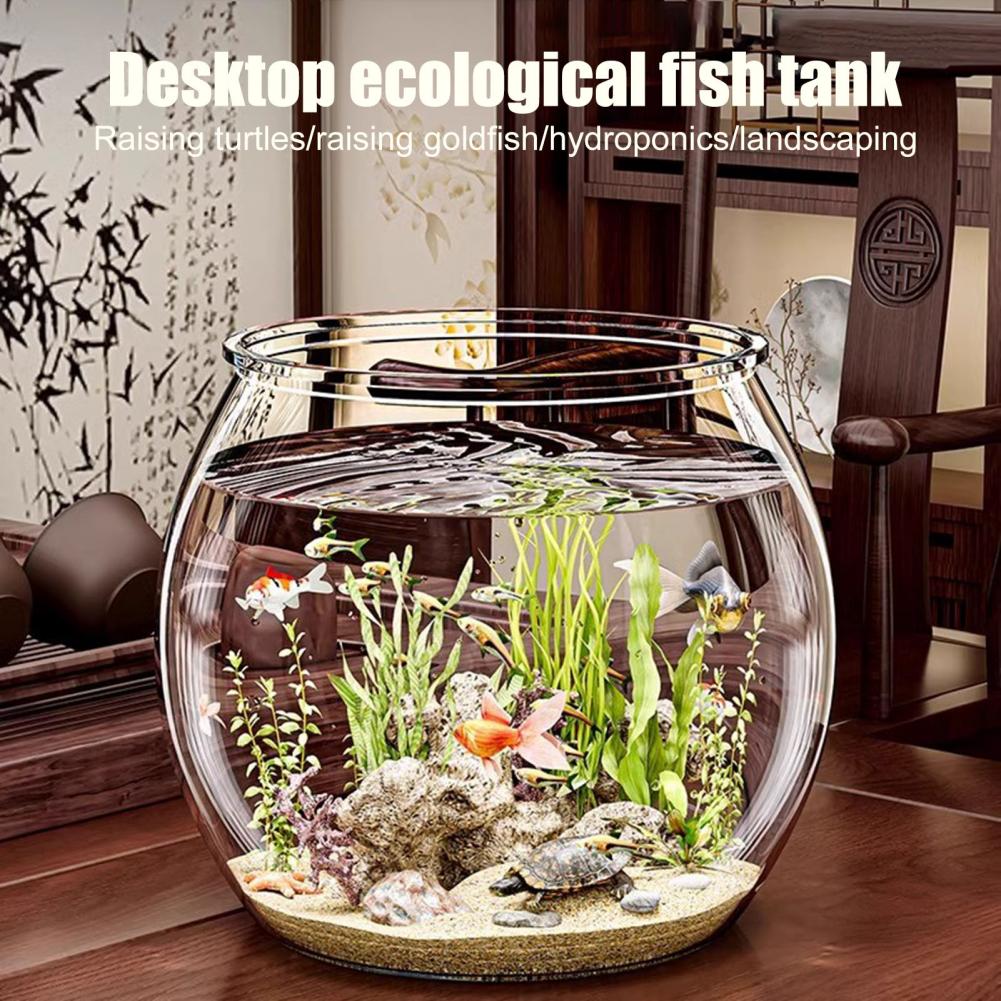 Durchsichtiger runder Fischsch – Plant Aquarium Pot Bewertung und Preis