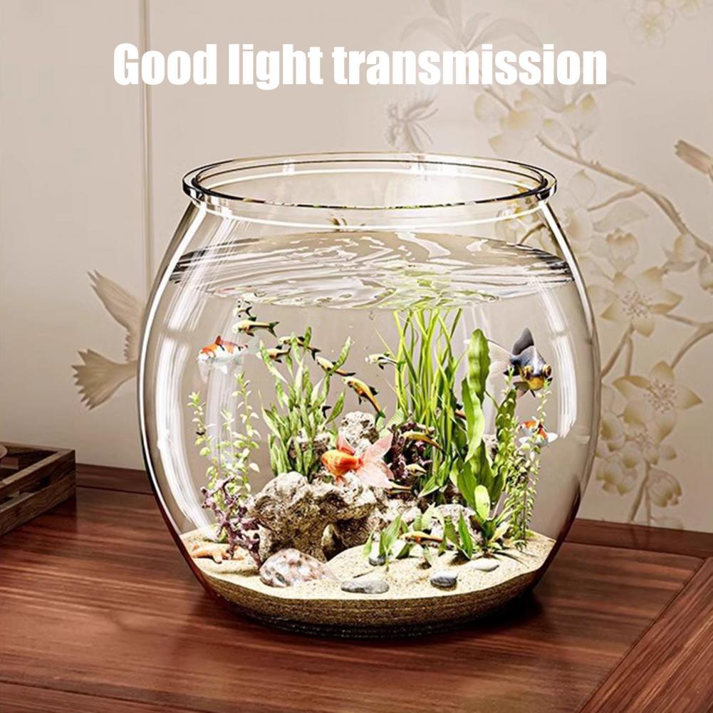 Durchsichtiger runder Fischsch – Plant Aquarium Pot Bewertung und Preis