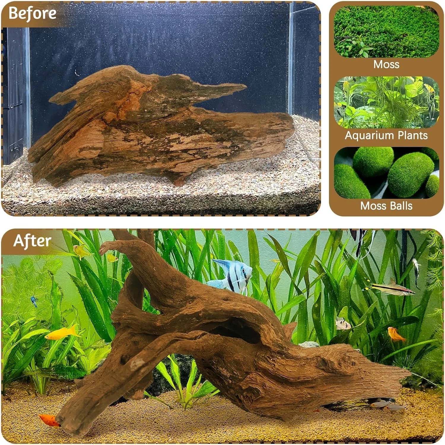 15-20CM 1 Stück Natürliches Tr – Aquarium Plant Substrate Bewertung und Preis