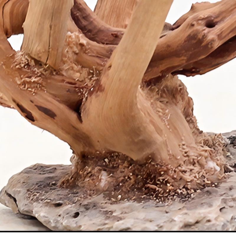 1PC Aquarium Landschaftsbau Ho – Aquarium Driftwood Bewertung und Preis