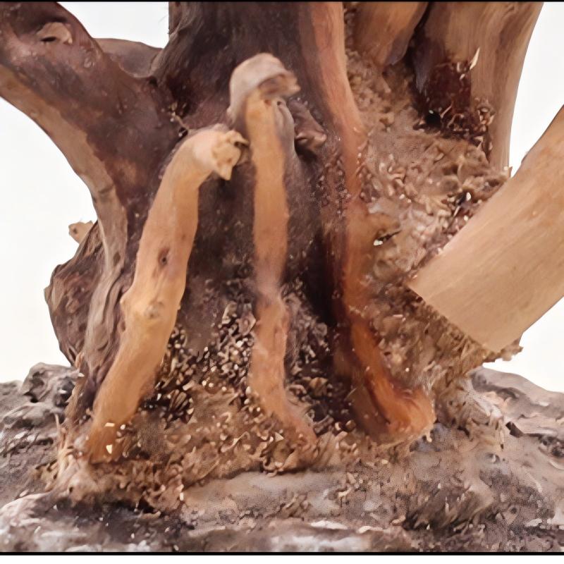 1PC Aquarium Landschaftsbau Ho – Aquarium Driftwood Bewertung und Preis