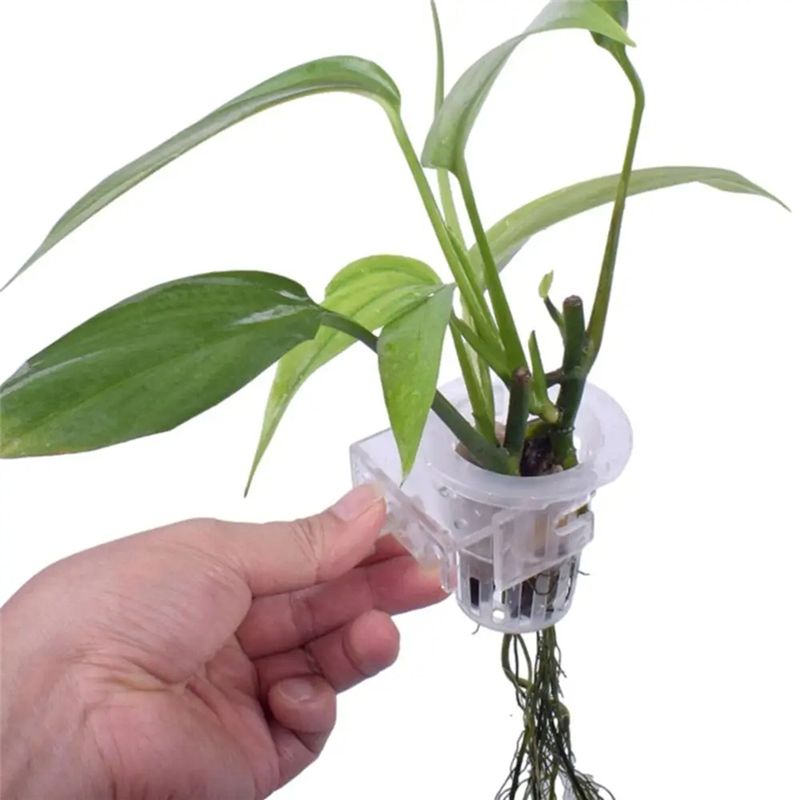 A7THK-2 Stück Transparente Hän – Aquarium Plant Holder Bewertung und Preis